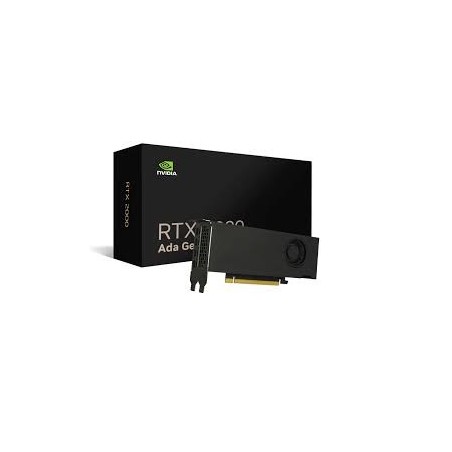 Leadtek 麗臺 NVIDIA RTX 2000 Ada 16GB GDDR6 工作站繪圖卡