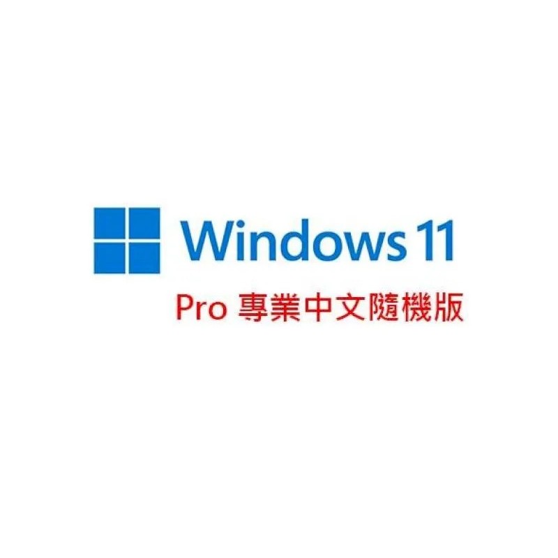 Microsoft Windows 11 中文專業版-64位元隨機版